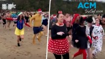 Brave swimmers in Disney dress up take cold festive plunge