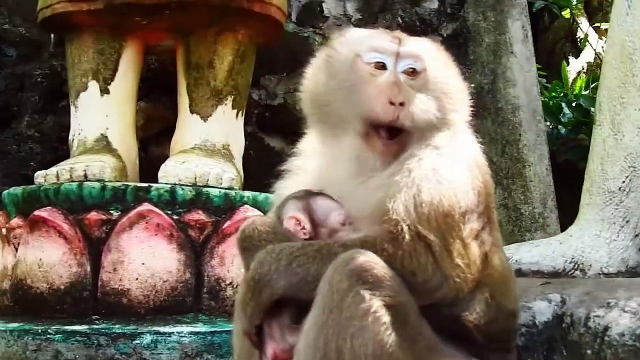 Newborn Baby Tries Its Best To Hold Mom Pinka Due to It Is Just Three Day Old (720p_25fps_H264-192kbit_AAC)