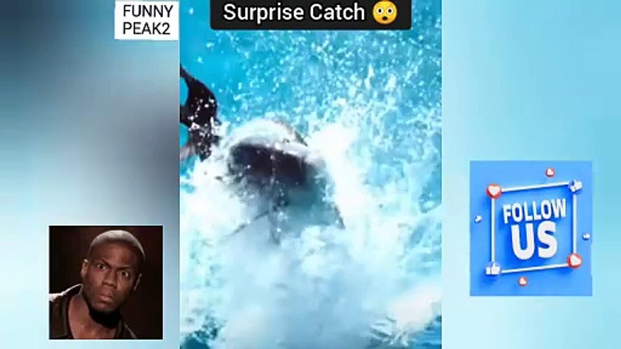 Surprise Catch