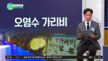 오염수 가리비 한국에 6천억 원 수출하겠다는 일본 정부