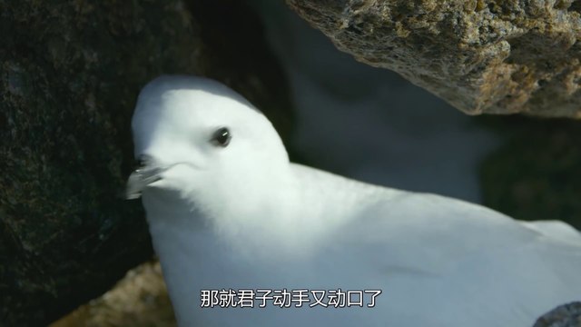 If the love between two people lasts for a long time, how can it be between a male and a female!