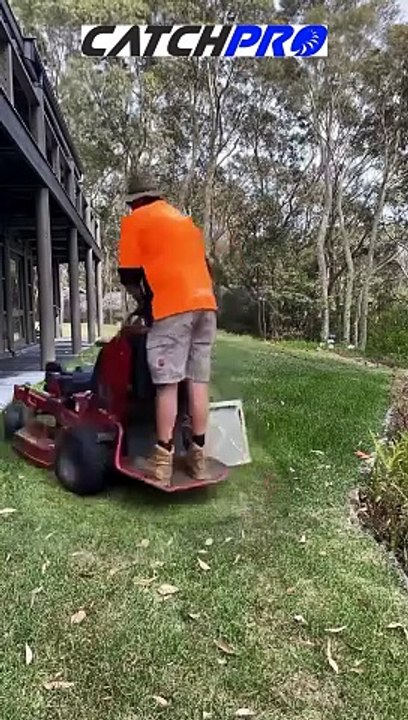 Mastering Garden Care Essential Tools and Techniques Revealed