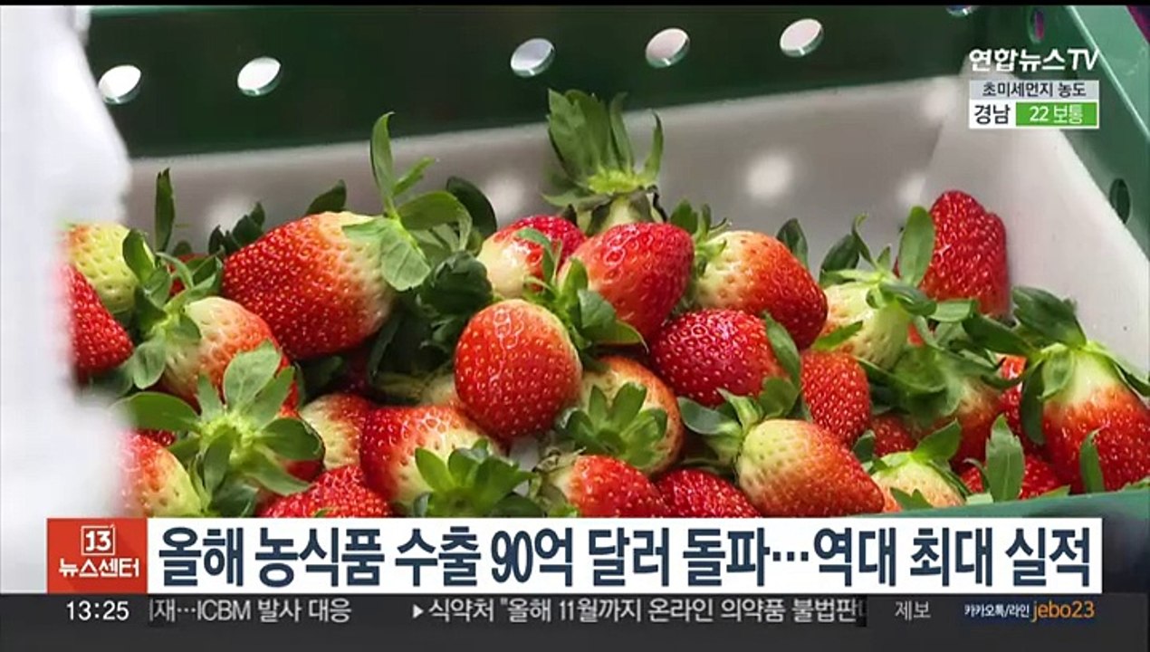 올해 농식품 수출 90억 달러 돌파…역대 최대 실적