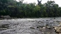 SOUNDS OF WATER AND BIRDS THAT CALM THE MIND AND BRING PEACE AND QUIET [SLEEP,RELAXATION,MEDITATION]