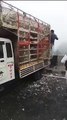 आगरा नेशनल हाइवे पर पलटा ट्रक, मची मुर्गों की लूट, वीडियो वायरल
