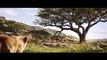 MUFASA - THE LION KING 2 - TEASER TRAILER  LIVE-ACTION MOVIE, DISNEY+
