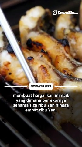 Kebangkrutan hingga jual aset rumah, kini mantan TKI asal Jawa timur. Sukses Budidaya Ikan Sidat dan Ekspor ke Jepang