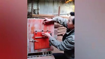 Ce coq surdoué vient libérer une poule