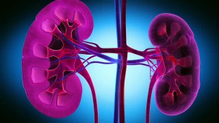 Let's talk about The First Sign of KIDNEY DISEASE