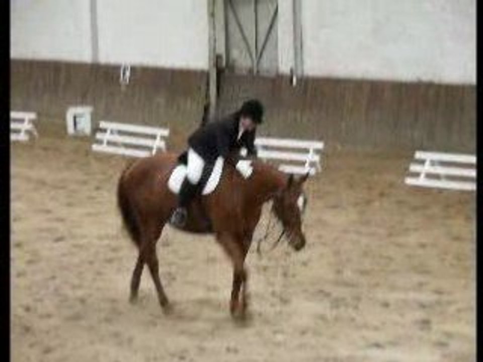 Concours de dressage