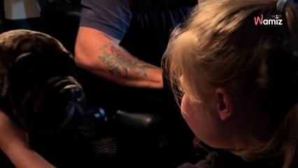 Une famille perd son chien : quelques mois plus tard, une surprise va la faire fondre en larmes