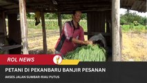 Akses Jalan Sumbar-Riau Putus, Petani Di Pekanbaru Banjir Pesanan