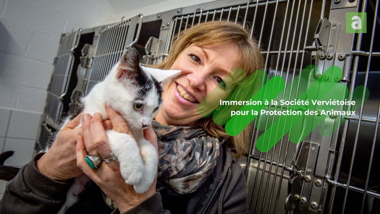 SPA Verviers : "Les gens sont beaucoup plus soucieux du bien-être animal"