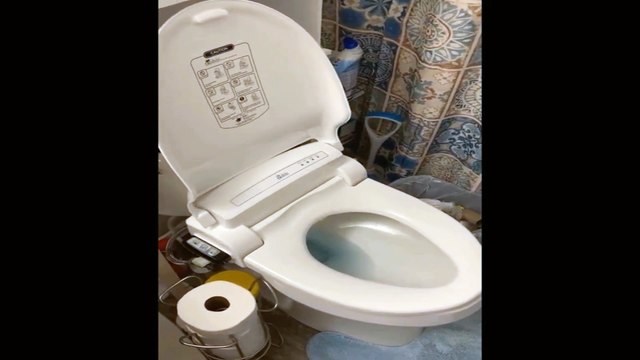 Review Bio Bidet by Bemis BB-1000W Supreme Warm Water Bidet Toilet Seat 2024