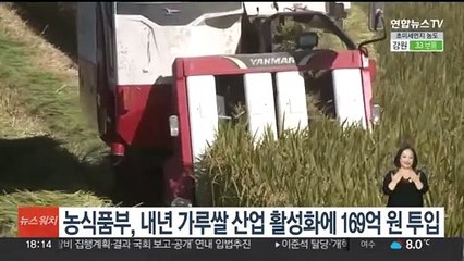 농식품부, 내년 가루쌀 산업 활성화에 169억원 투입