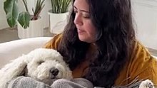 Dog Parent Approved