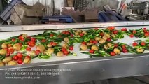 Vegetables washing and drying line | Primary processing #ssengrindia #vegetables
