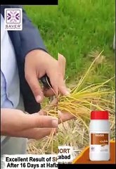 WhatsApp Video 2023-12-27 at 3.18.28 PM