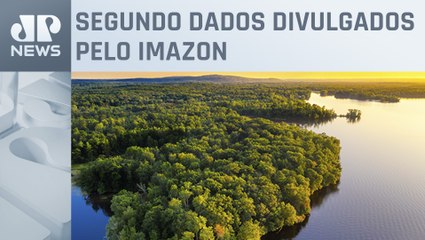 Desmatamento na Amazônia registra maior queda no ano em novembro