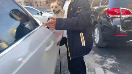 Can You Keep a Straight Face?  Funniest Video Compilation Challenge!