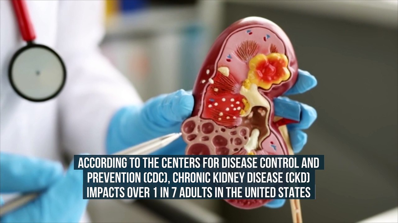 High Adolescent BMI Linked With Chronic Kidney Disease, Study Warns