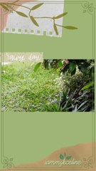 One Rainy Morning ️