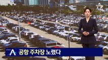 사이드미러 펴진 차량만…인천공항 상습 털이범 검거