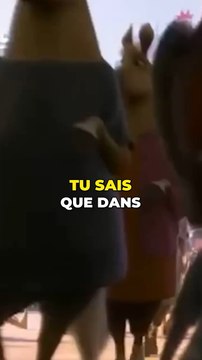 Les animaux sont différents dans Zootopie en fonction des pays !