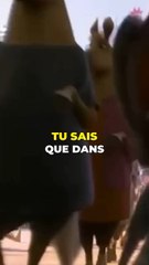 Les animaux sont différents dans Zootopie en fonction des pays !