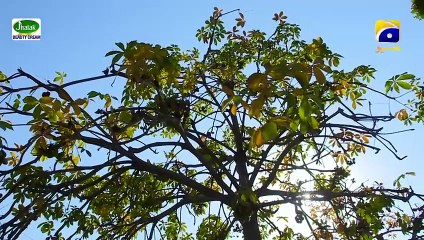 Mannat Murad Episode 27 | Exciting Twists & Drama Unfolds