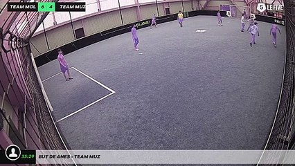 But de Anes - team muz