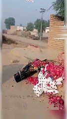 No words very emotional