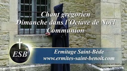 Communion Tolle puerum du dimanche dans l’Octave de Noël - Ermitage Saint-Bède - Ciné Art Loisir