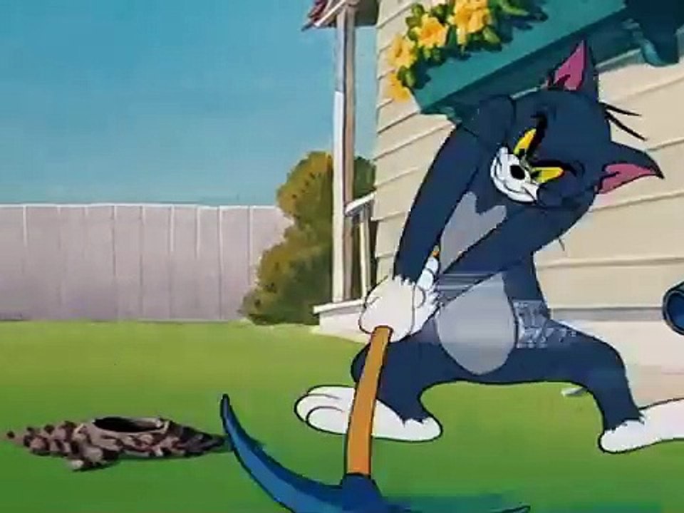 Tom and Jerry