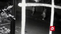 Vídeo mostra jovens baleados fugindo de execução em ceia de Natal
