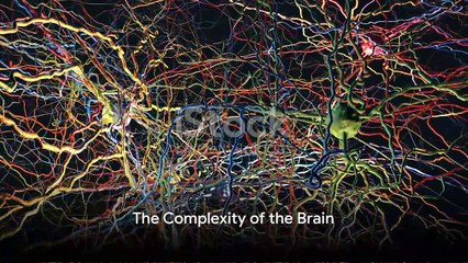 Télécharger la video: Unraveling the Mysteries of the Brain