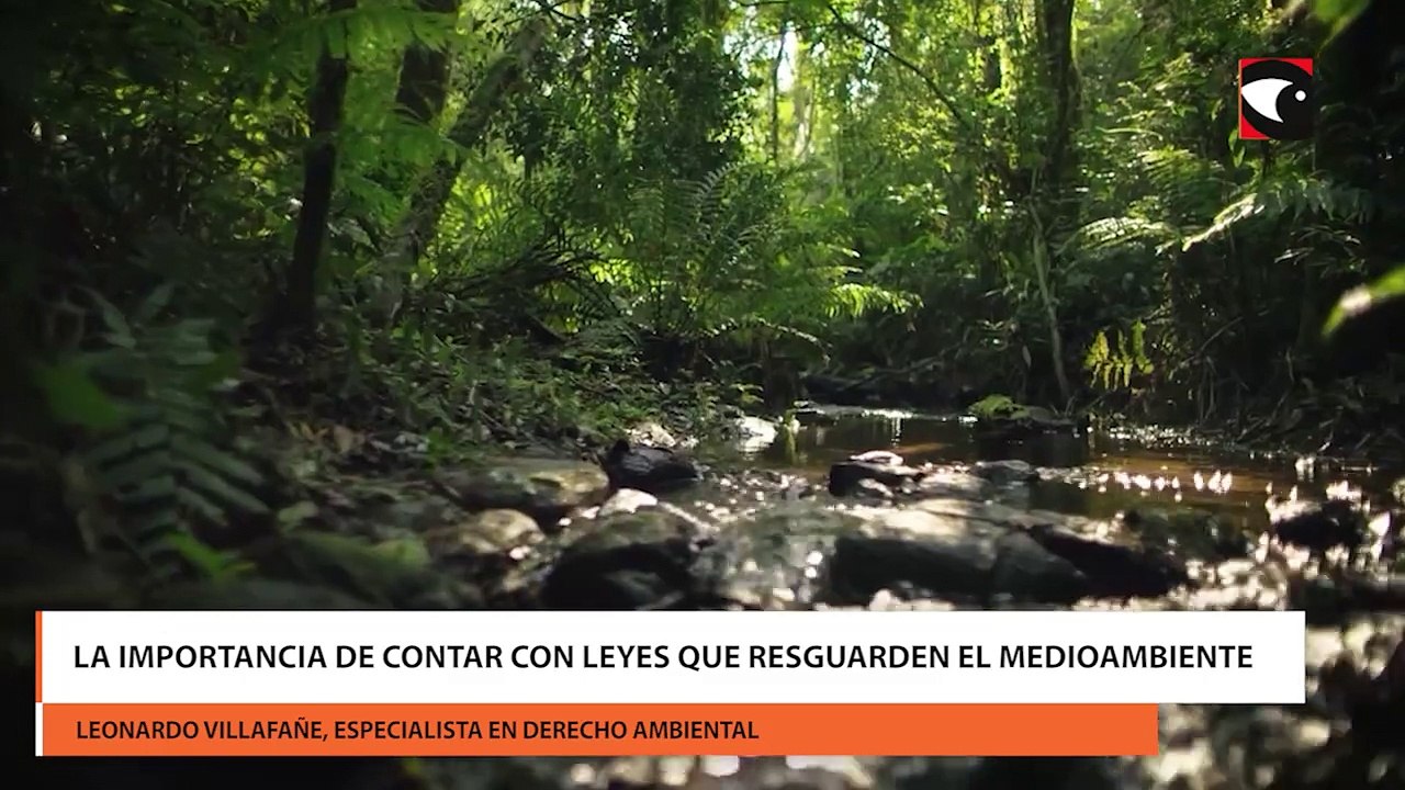 La importancia de contar con leyes que resguarden el medioambiente