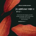 -Jacobo Shemaria Capuano- Potencial de energías renovables en México: (Parte 2) (Creado por @JacoboShemariaCapuano)