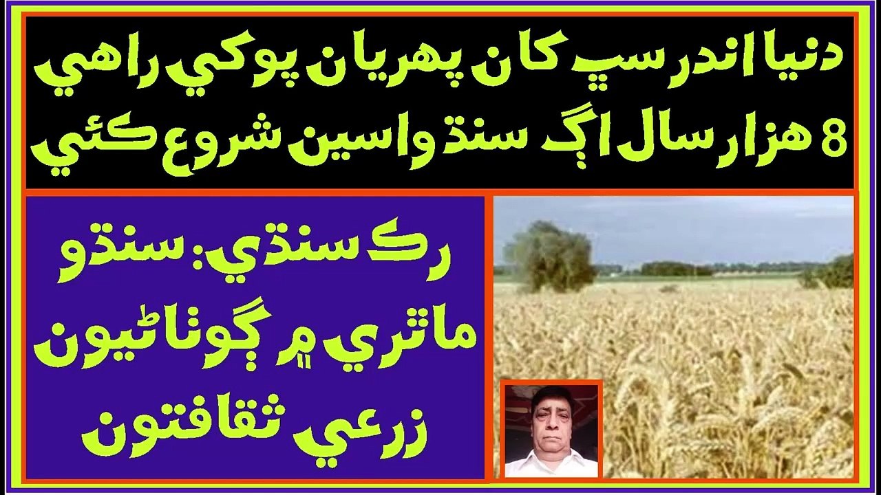 Ruk Sindhi - 8,000 years Early evidence of farming in Indus Valley #ruksindhi #IndusCivilization #historyofsindh