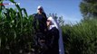 These Are Mexico’s ‘Weed Nuns’ Who Want To Get Rid of Stigmas and Remove ‘Narcos’ In the Process
