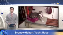 Cat Makes History in Sydney-Hobart Yacht Race