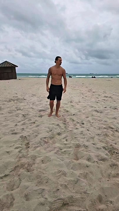 Zlatan Ibrahimovic