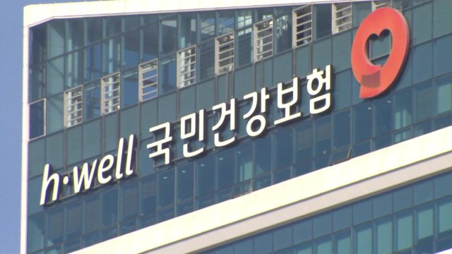 배우 김혜선·래퍼 도끼 2천만 원 넘게 건강보험료 체납 / YTN