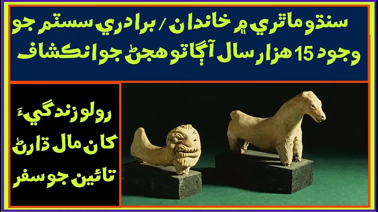 Ruk Sindhi:  Human Evolution in Indus Valley  04