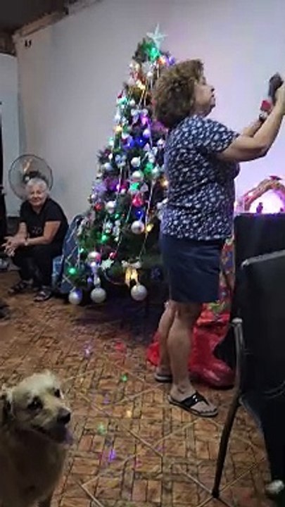 Dog Couldn't Wait For Presents