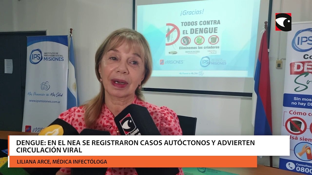 Dengue en el NEA se registraron casos autóctonos y advierten circulación viral