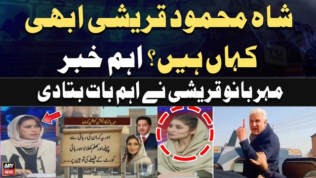 Where is Shah Mehmood Qureshi? - Meher Bano Qureshi's Comments