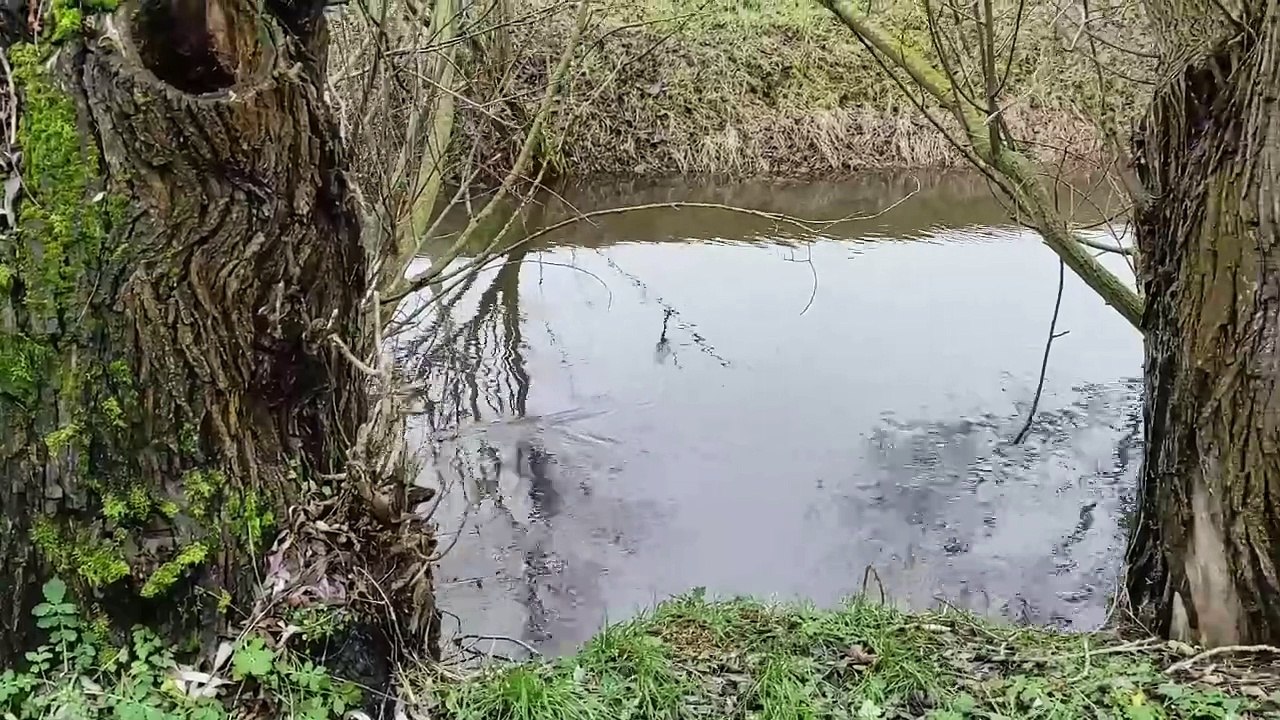 Glück gehabt!