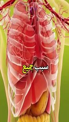 انتبه نأكله يوميا وهو سبب جميع الأمراض -- يسبب مرض السكري والضعف يدمر الكبد والكلى والبنكرياس