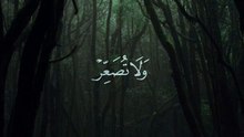 القران الكريم